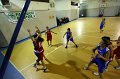Basket 443105